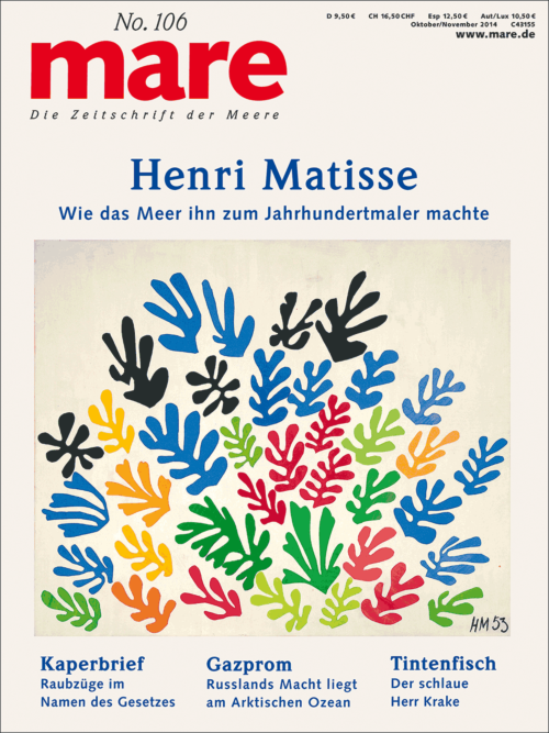 Cover mare 106