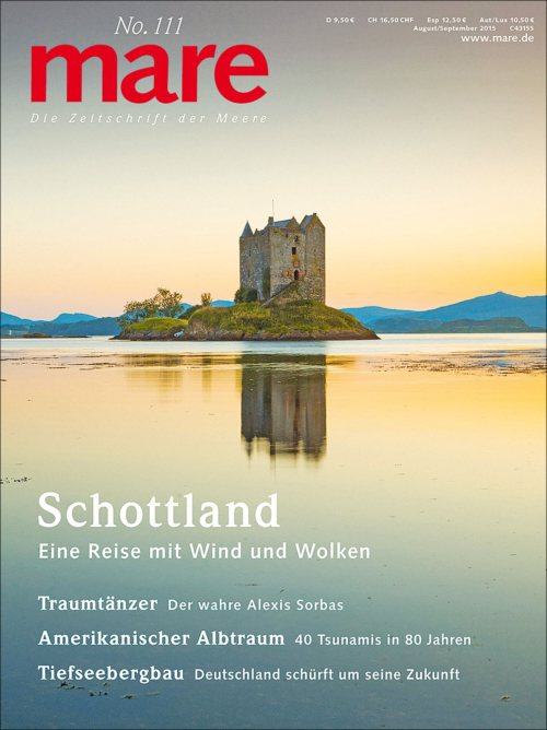 Cover mare 111

