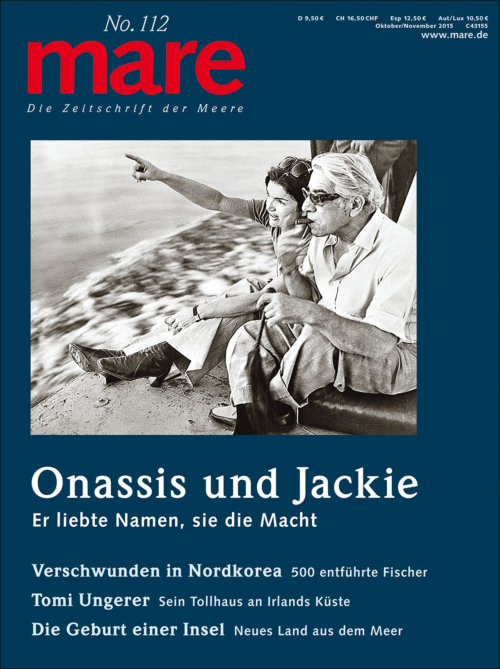 Cover mare 112
