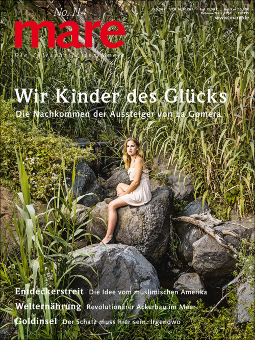 Cover mare 114