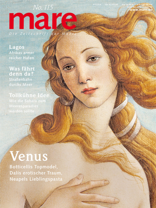 Cover mare 115
