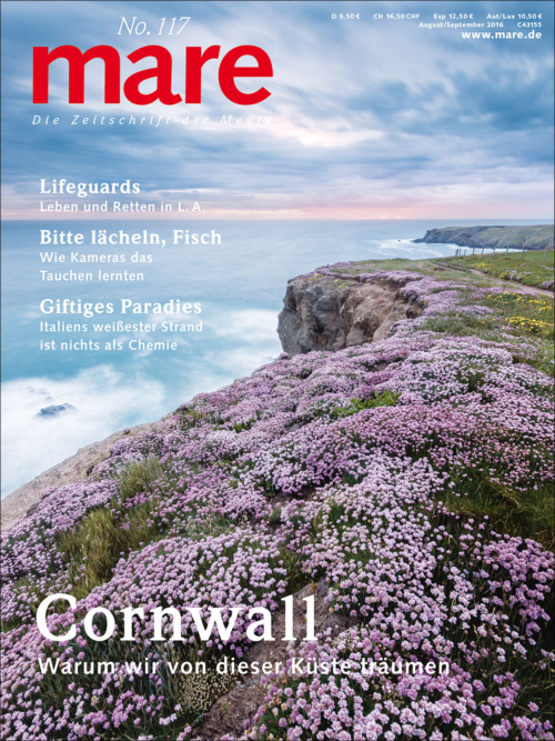 Cover mare 117