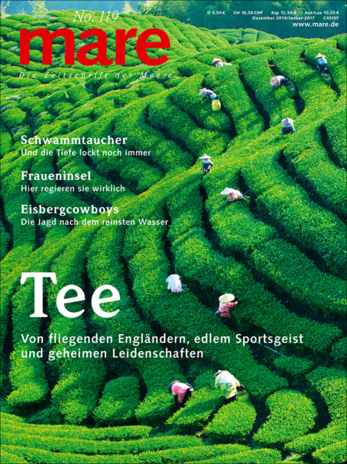 Cover mare 119
