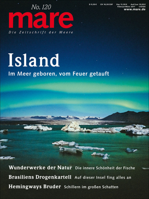 mare No. 120