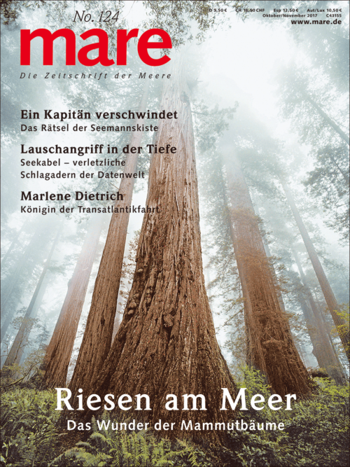 Cover mare 124