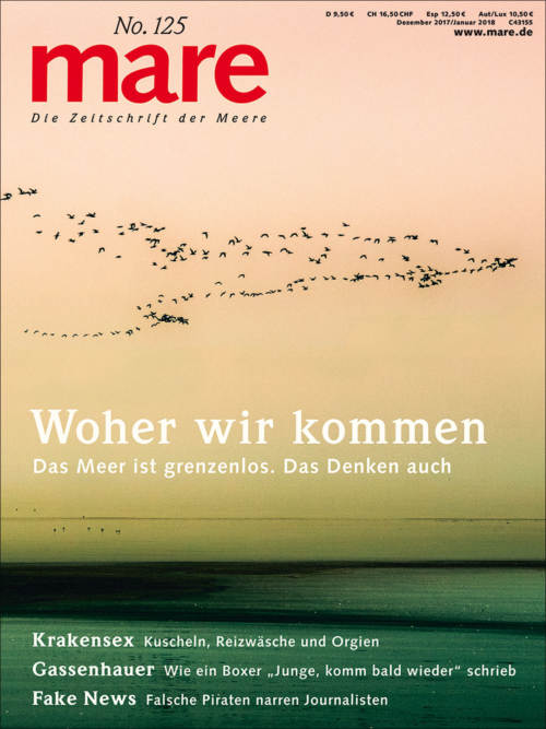 Cover mare 125
