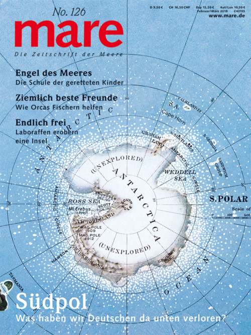 Cover mare 126