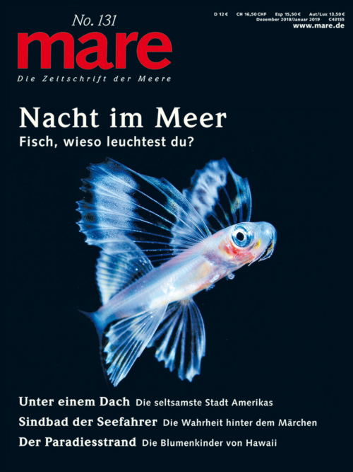 Cover mare 131