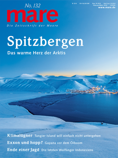 Cover mare 132