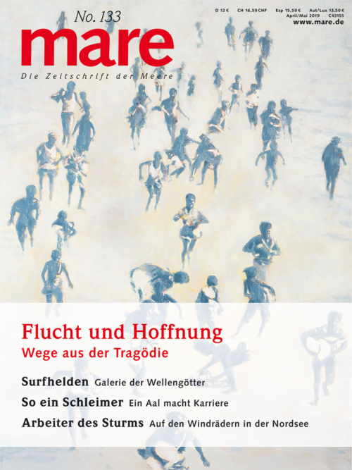 Cover mare 133