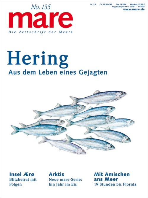 Cover mare 135