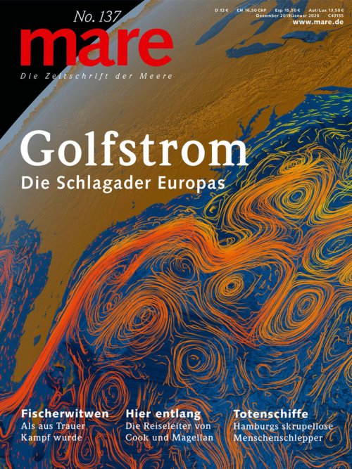 Cover mare 137