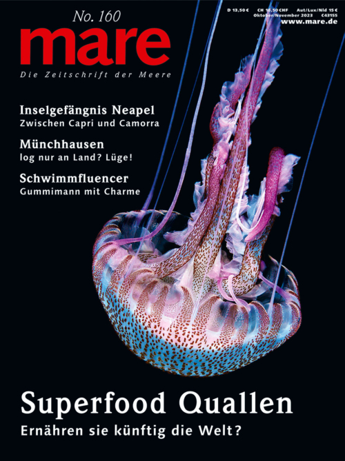Cover mare 160