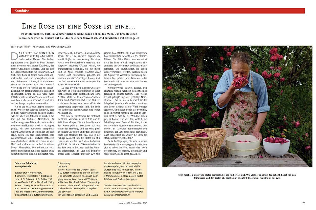 Eine Rose ist eine Sosse ist eine…