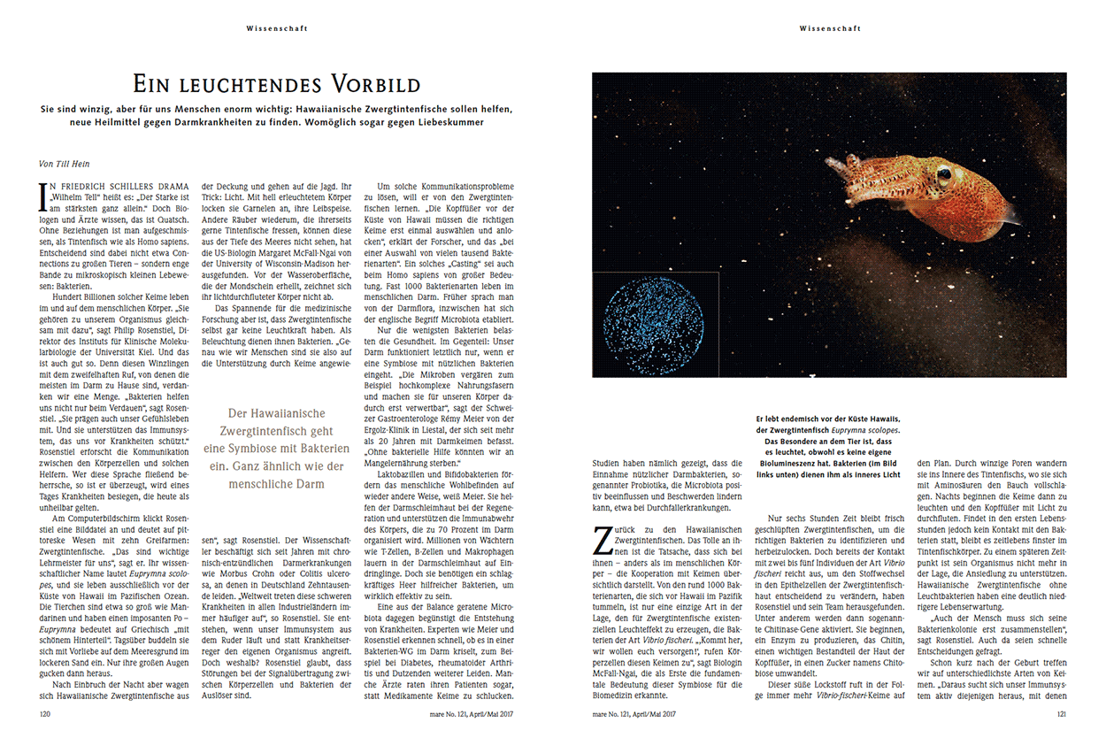 Ein leuchtendes Vorbild