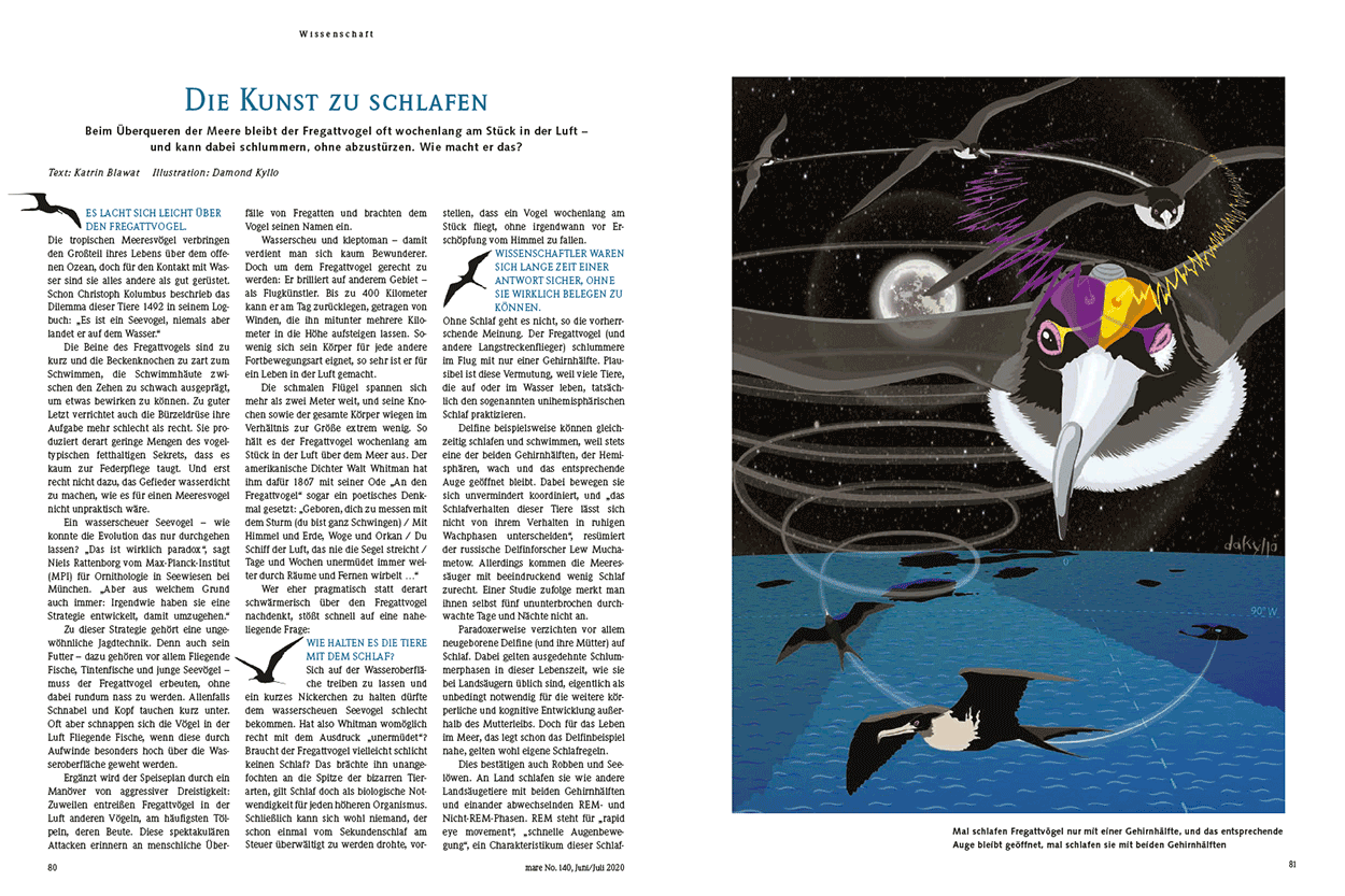 Die Kunst zu schlafen