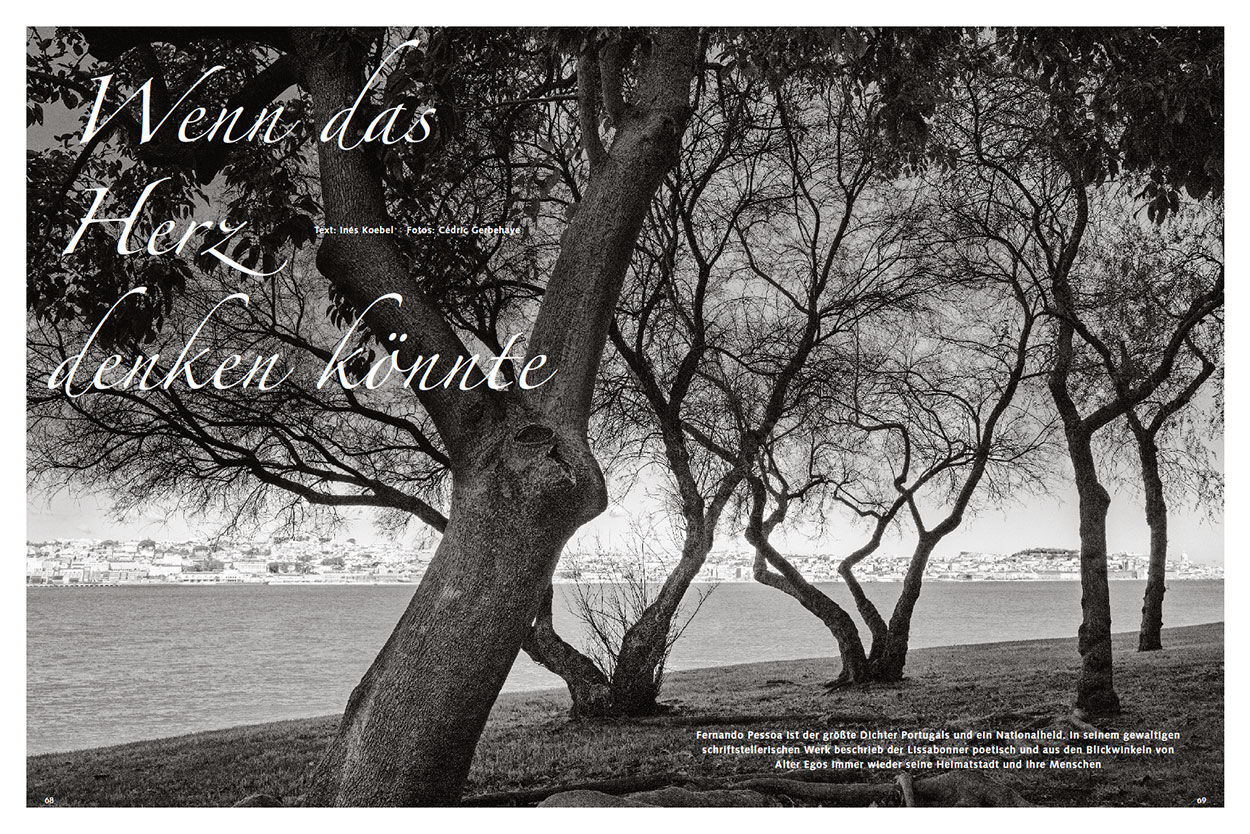 Wenn das Herz denken könnte