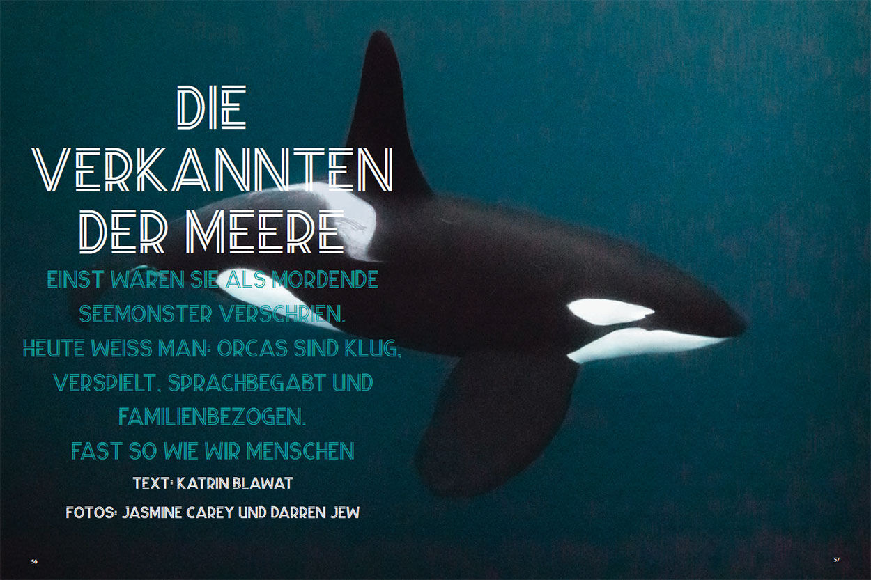 Die Verkannten der Meere