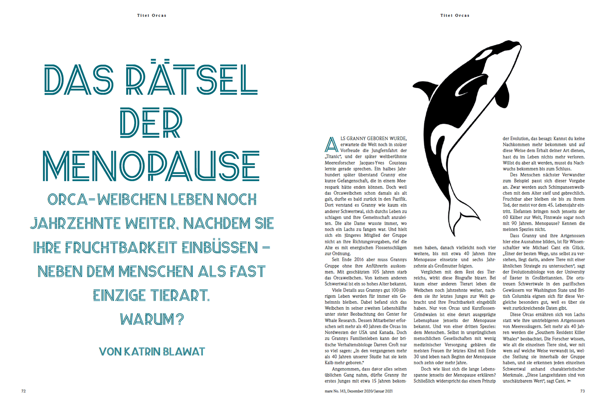 Das Rätsel der Menopause