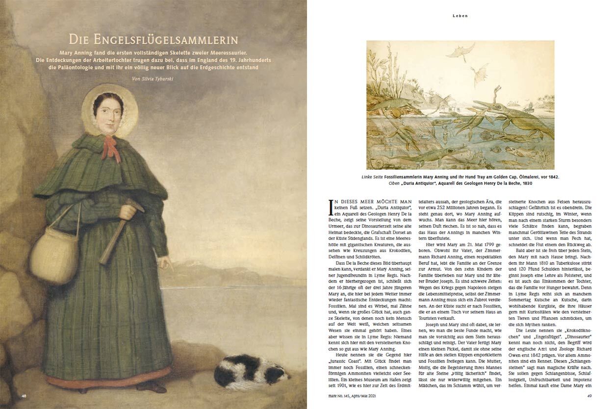 Die Engelsflügelsammlerin