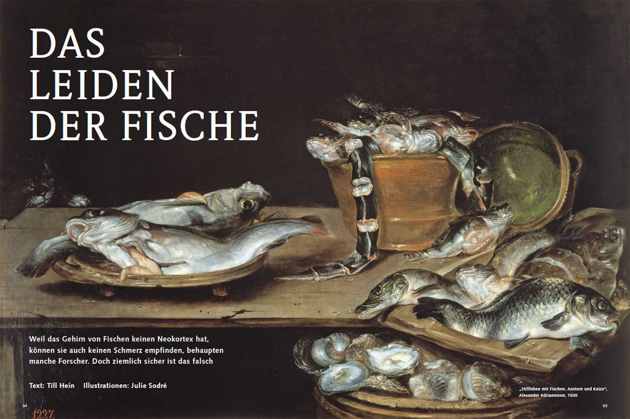 Das Leiden der Fische