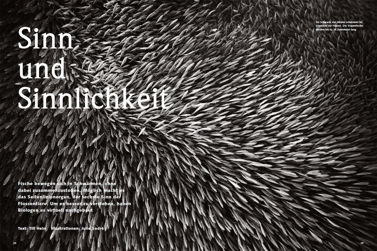 Sinn und Sinnlichkeit