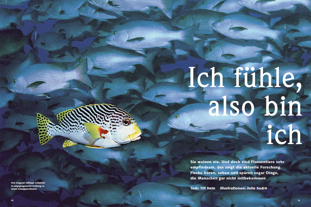 Ich fühle, also bin ich