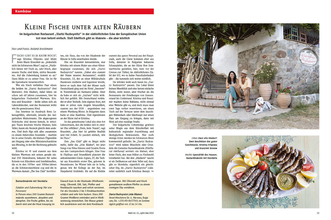 Kleine Fische unter alten Räubern