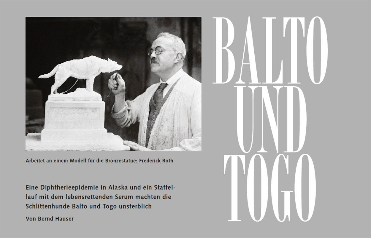Kasten: Balto und Togo