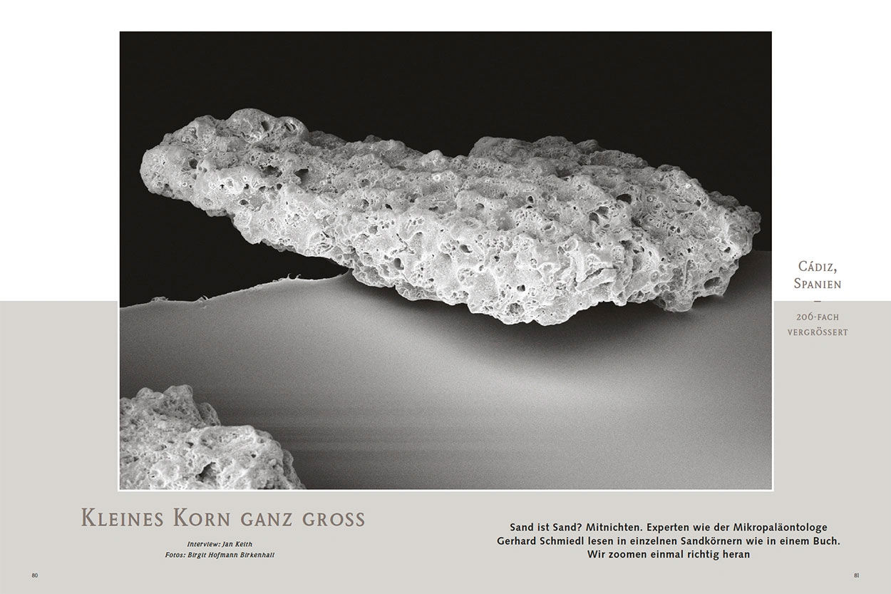 Kleines Korn ganz groß