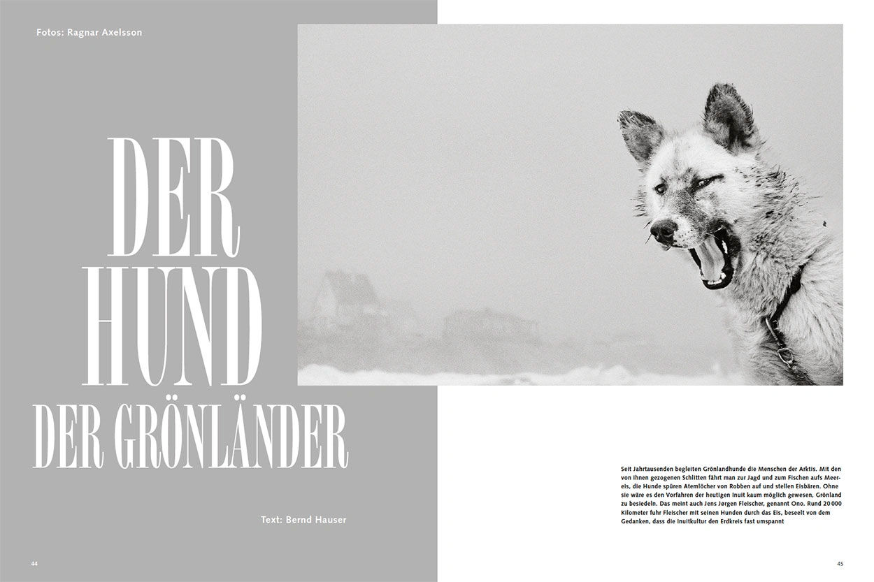 Der Hund der Grönländer