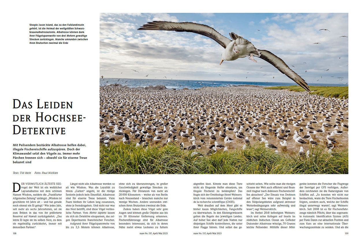 Das Leiden der Hochsee-Detektive