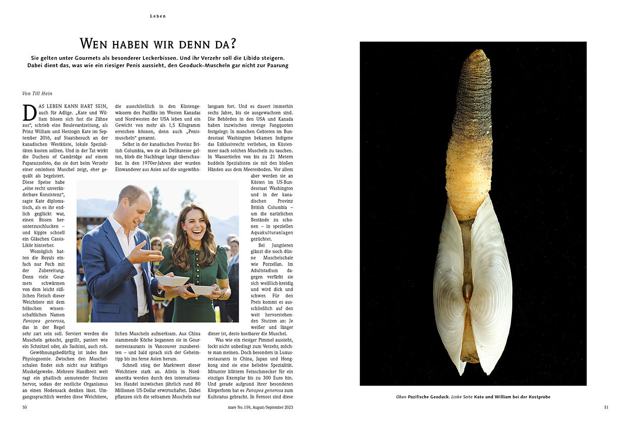 Wen haben wir denn da?