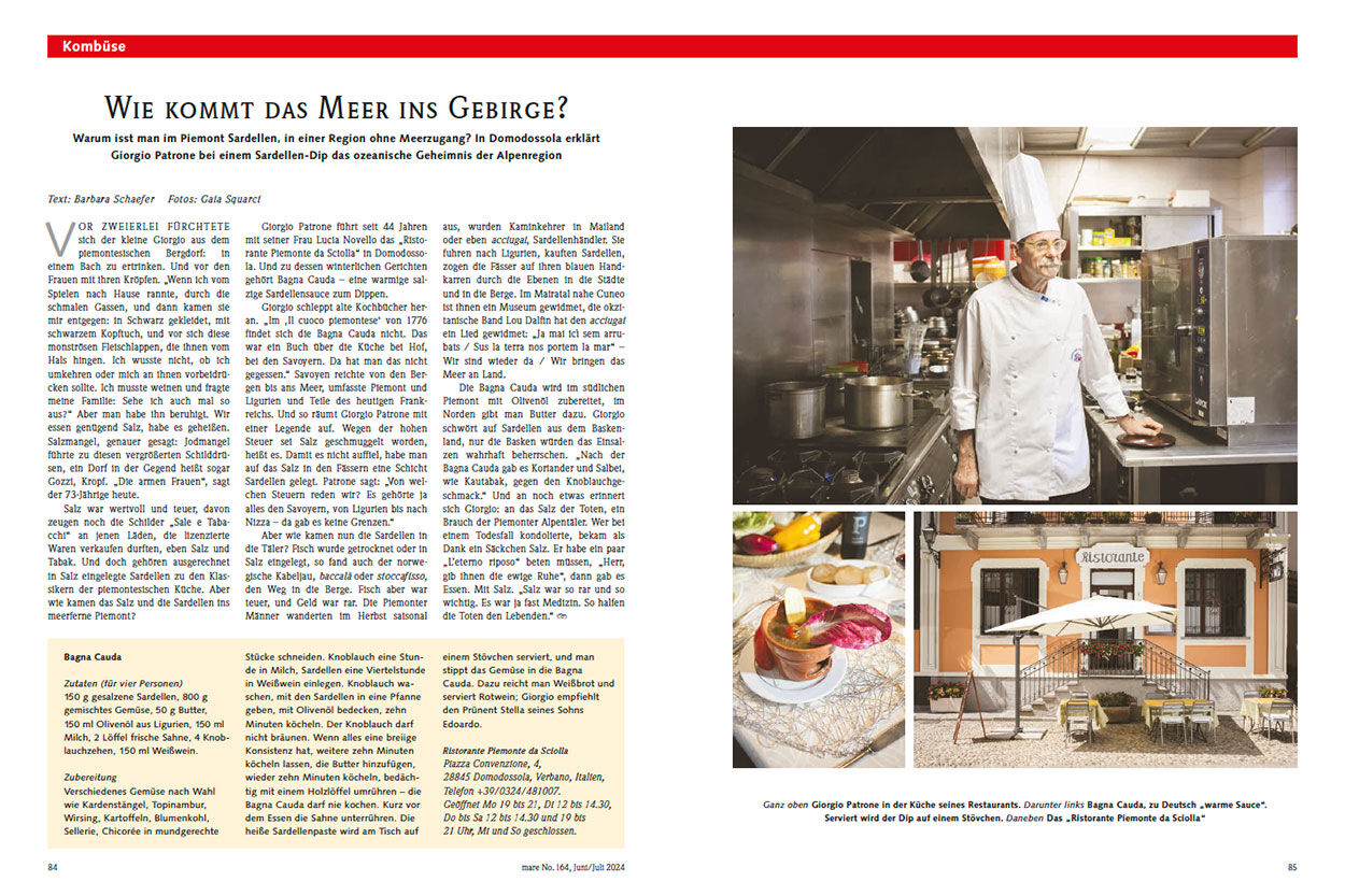 Wie kommt das Meer ins Gebirge?