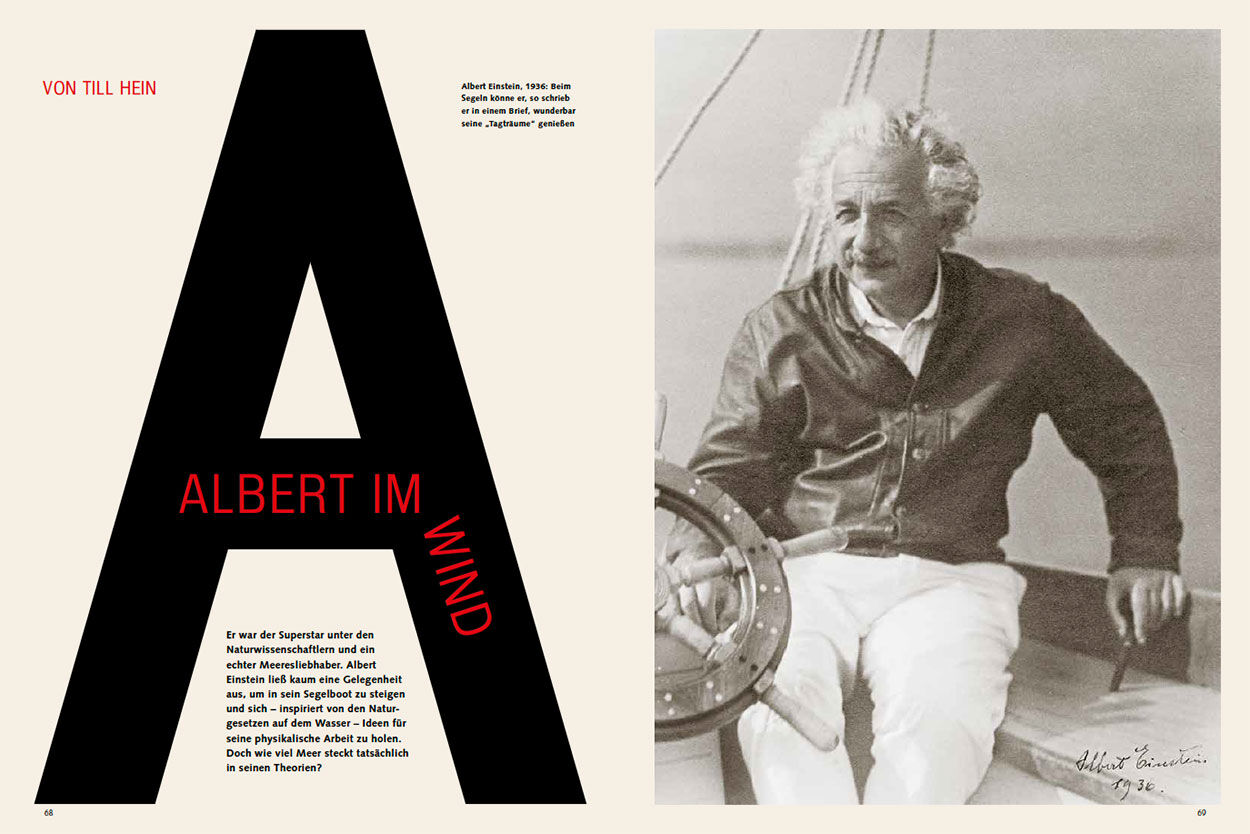 Albert im Wind