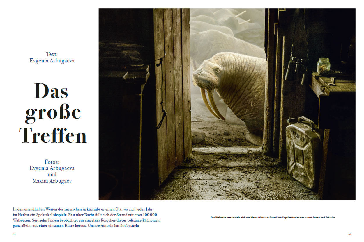 Allein unter 100 000