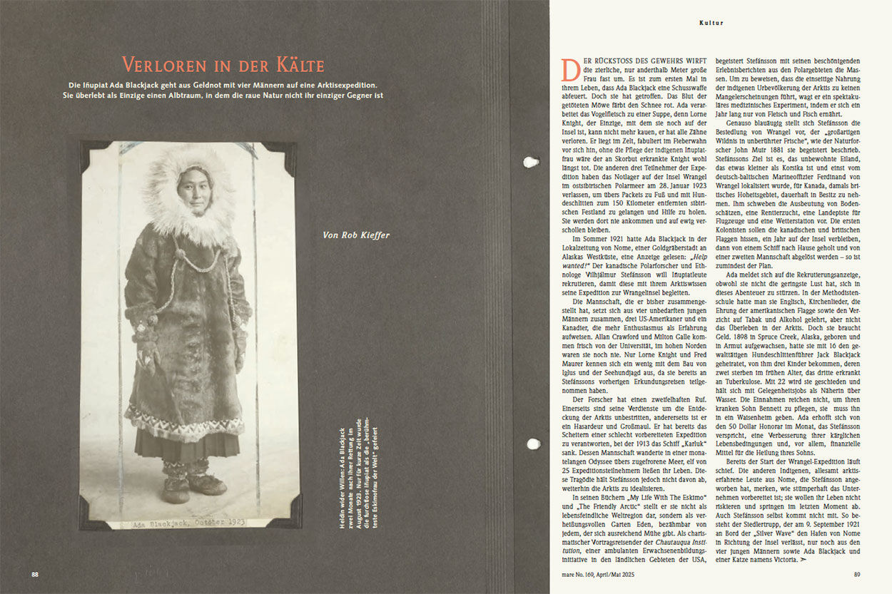 Verloren in der Kälte