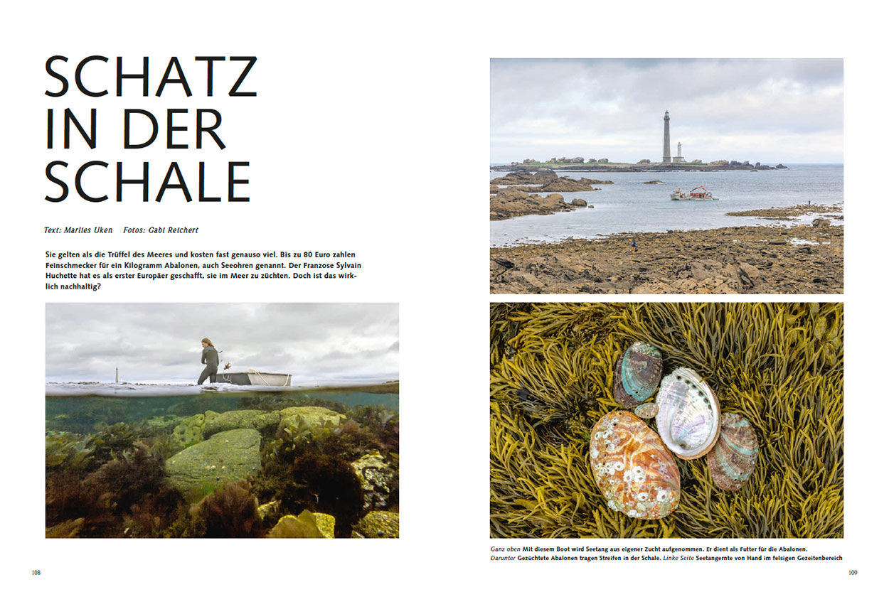 Schatz in der Schale