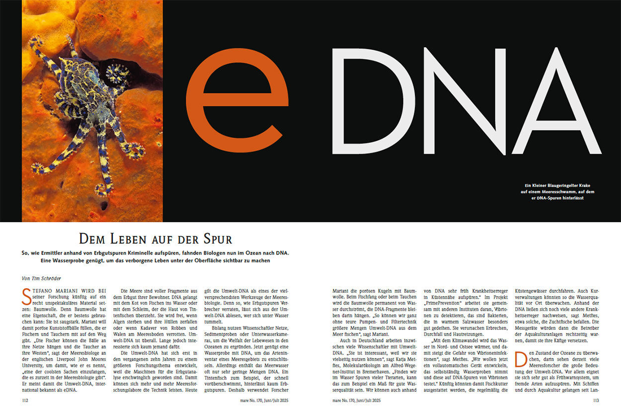 Dem Leben auf der Spur