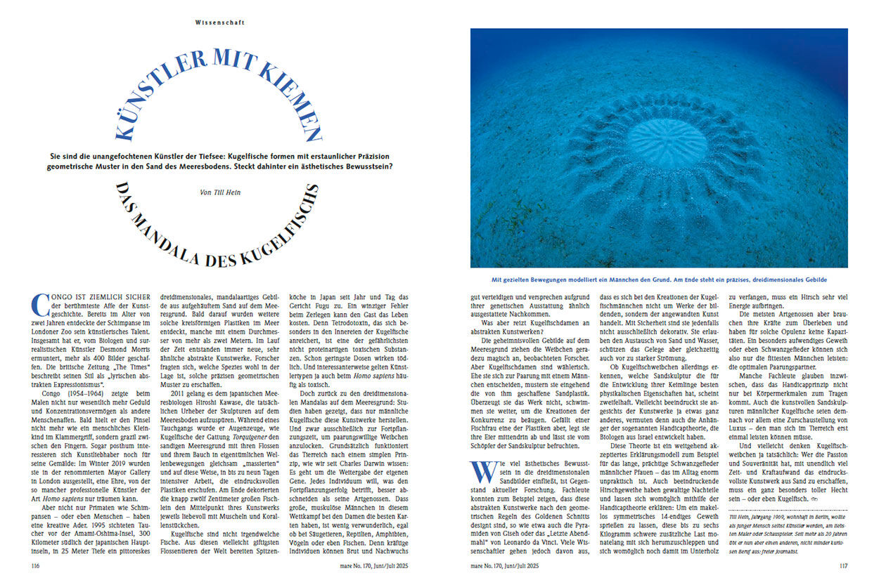 Künstler mit Kiemen