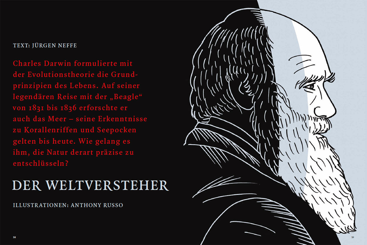 Der Weltversteher