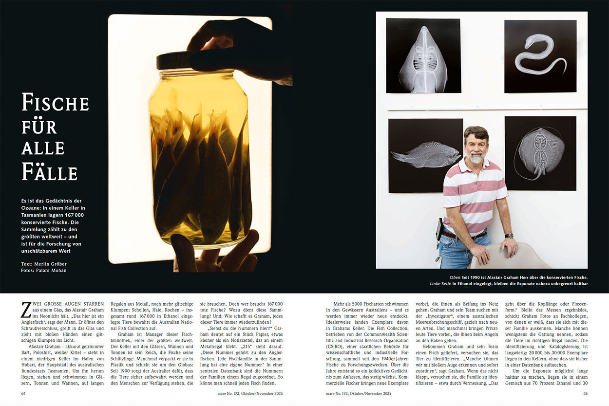 Fische für alle Fälle