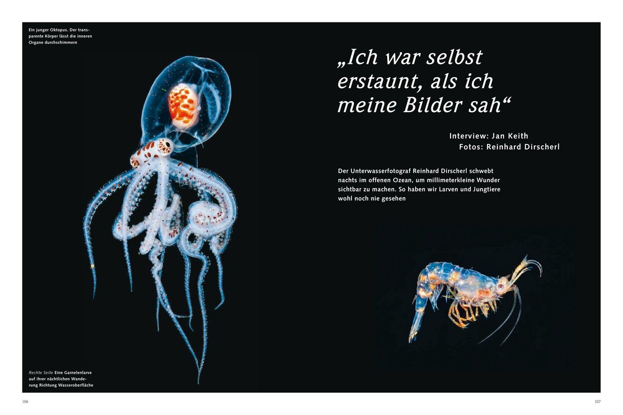„Ich war selbst erstaunt, als ich meine Bilder sah“