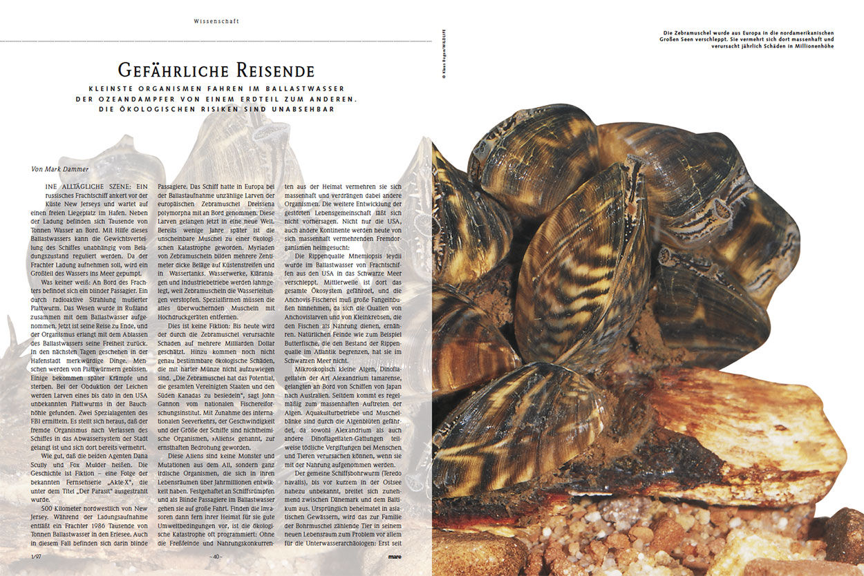 Gefährliche Reisende