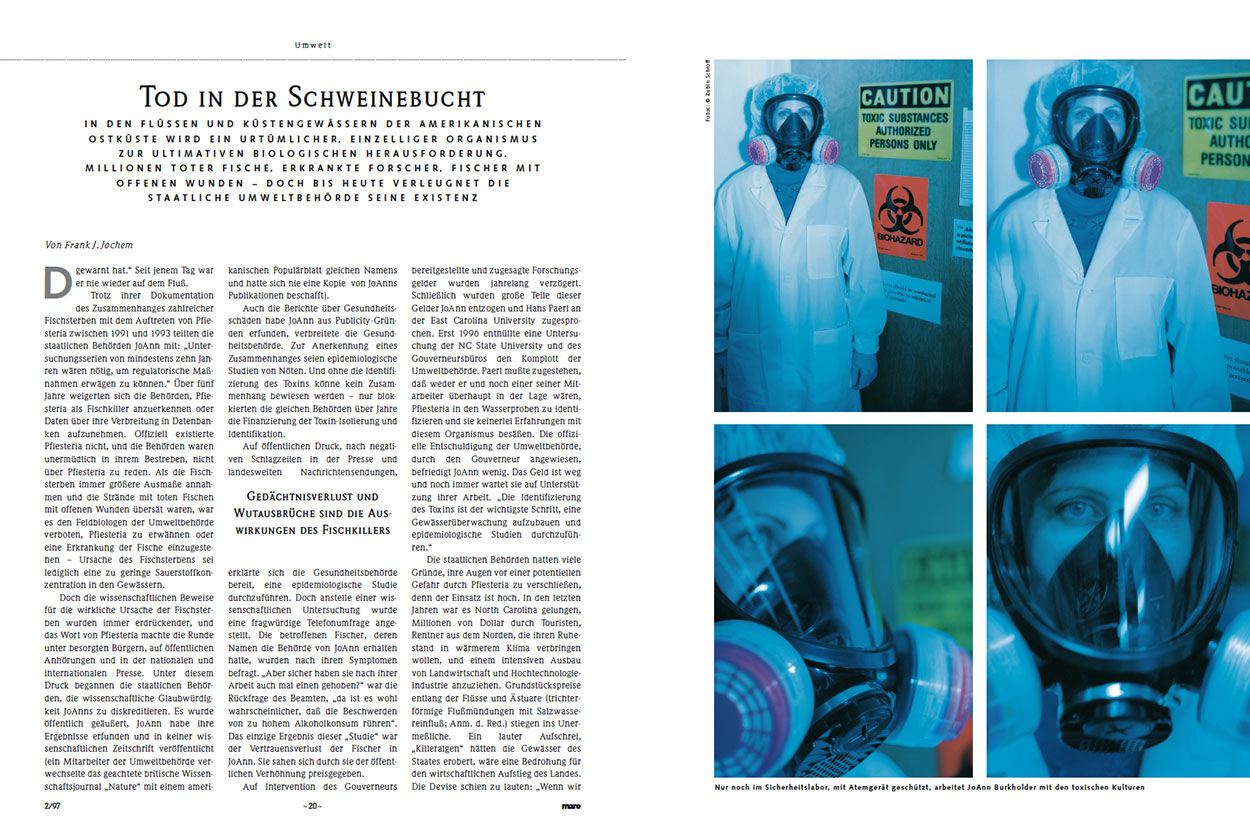 Tod in der Schweinebucht