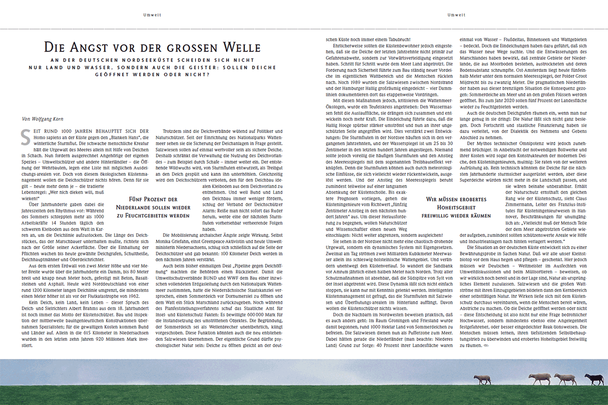 Die Angst vor der großen Welle