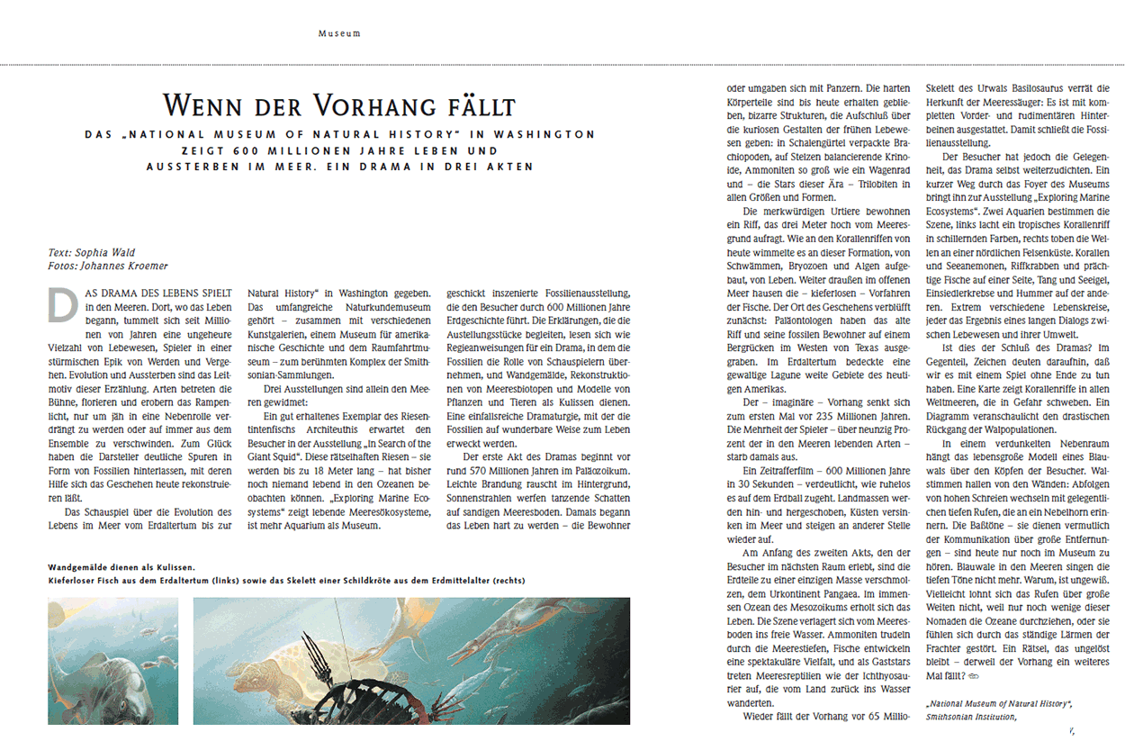 Wenn der Vorhang fällt