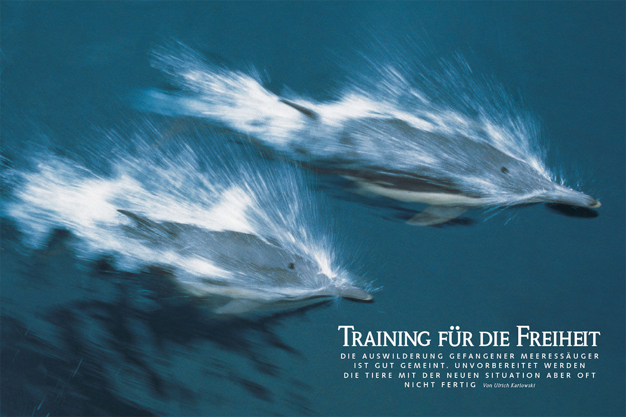 Training für die Freiheit