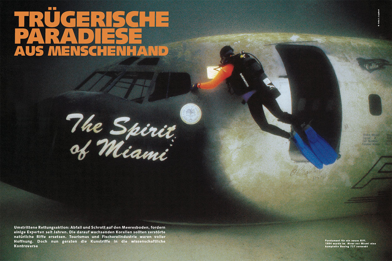 Trügerische Paradiese