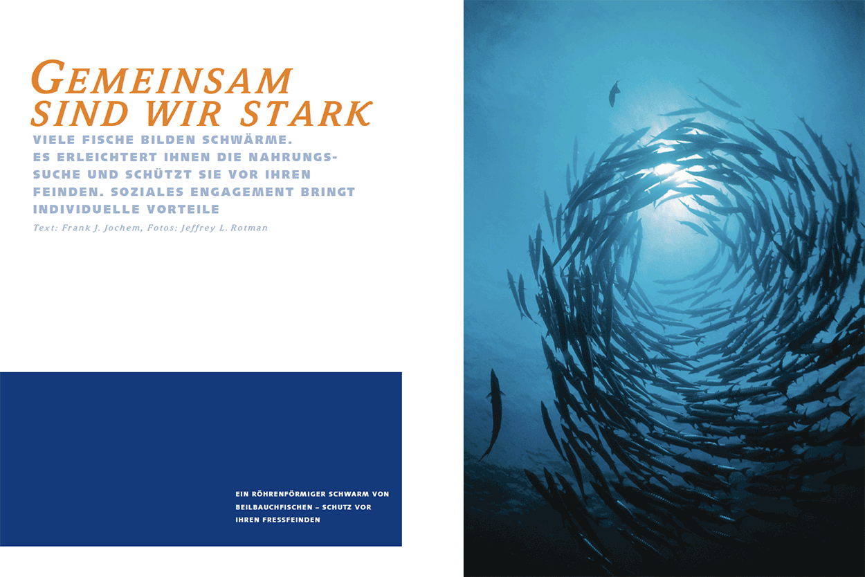 Gemeinsam sind wir stark